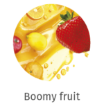 icone-web-essenze-03