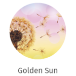 icone-web-essenze-16