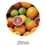 icone-web-essenze-22