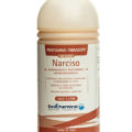 narciso